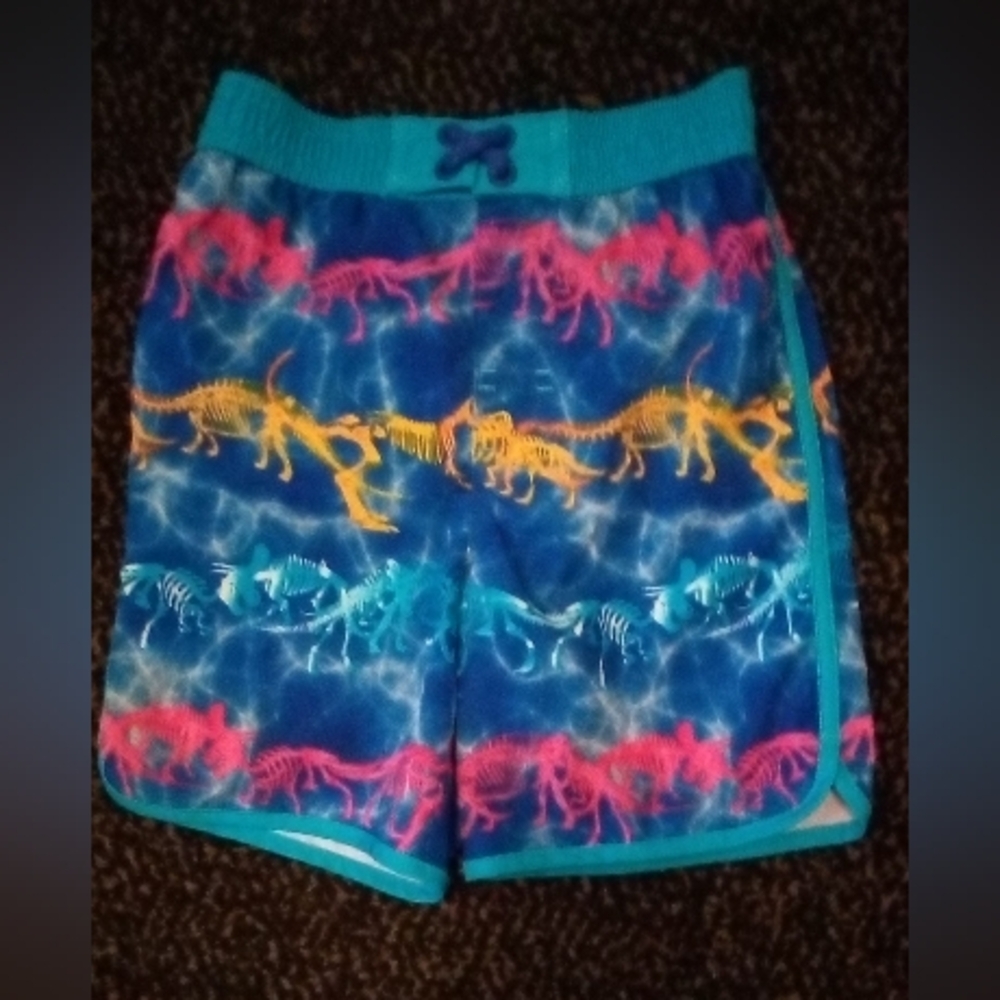 Boys' Wonder Nation Swim Trunks Size 3T Dinosaurs